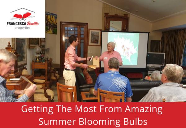 Charles Barnhoorn, the 3rd generation son of the family who brought bulbs from Holland came to address our Club on these wonders of nature. His Grandfather and Grandmother moved to SA from the bulb district in Holland and began by selling Gladioli to the Multiflora flower market.