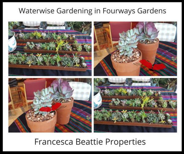 Get the inside scoop from the Fourways Gardening Club on how to be waterwise...