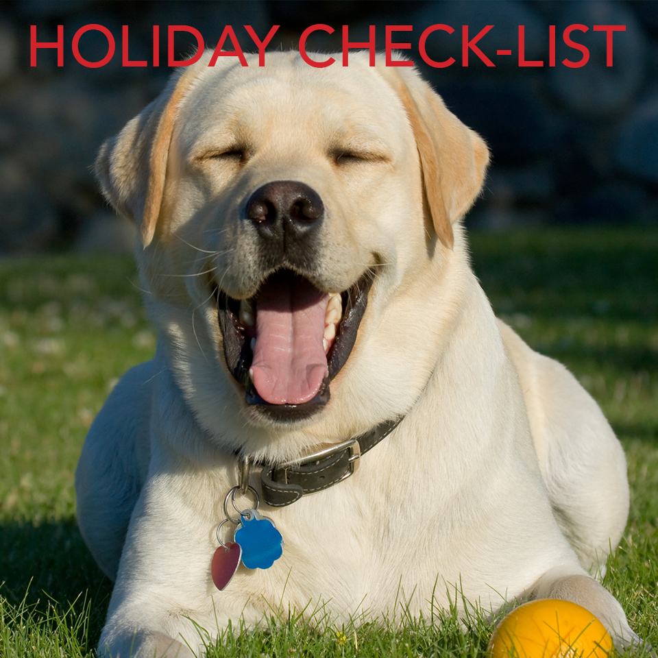 Its coming up to that time of year again where you need to make sure your property and your pets are safe while you are away! What you need to do...