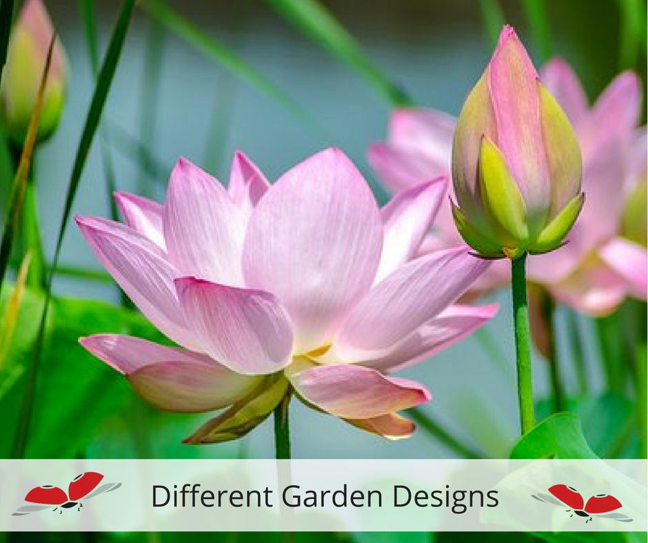 Here is a list of suggestions for different garden designs...