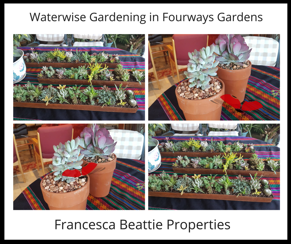 Get the inside scoop from the Fourways Gardening Club on how to be waterwise...